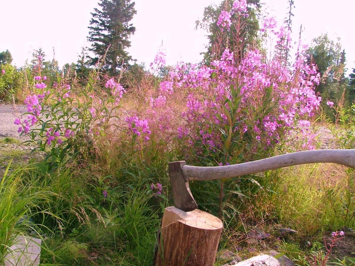 Whispering Woods Ak * Kasilof